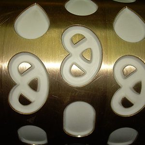 DSCN6422